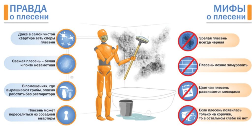 Как избавиться от плесени в ванной навсегда: эффективные способы борьбы и профилактики 2025