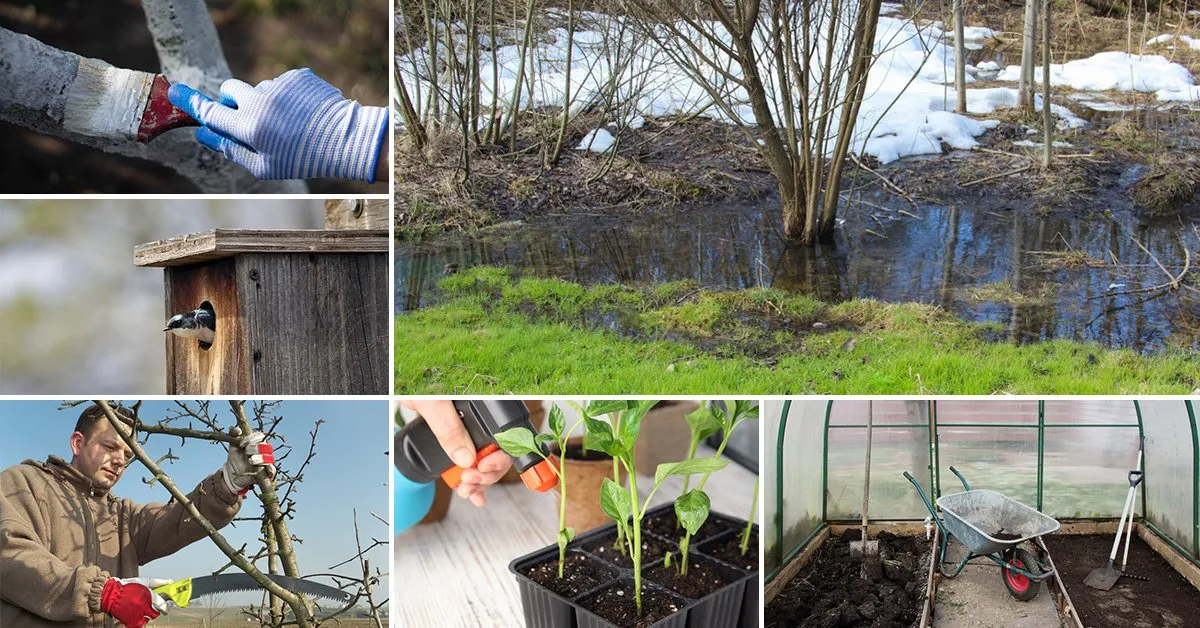 Весенние работы в загородном доме: полный чек-лист обязательных дел 2026